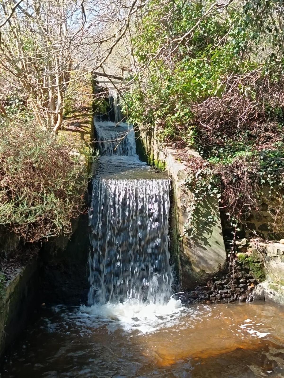 Moulin De Boiscorde, Centre Perche Bed and Breakfast Rémalard Εξωτερικό φωτογραφία
